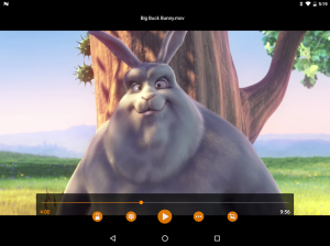 VLC for Android 15